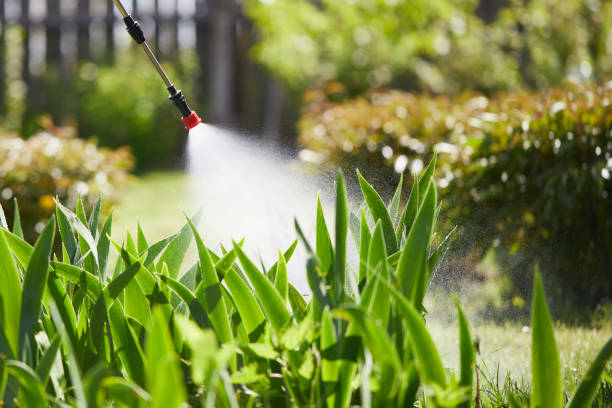 Tamper-Resistant Bait Stations for Rodents in East Richmond Heights
