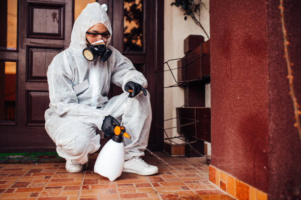 Attic and Crawl Space Rodent Treatment in East Richmond Heights